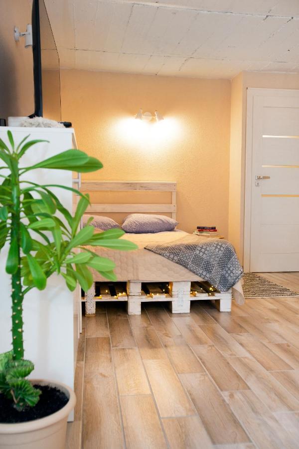 Apartment In Garage With Free Parking Kowno Zewnętrze zdjęcie